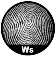 Đại bàng (Whorl)
